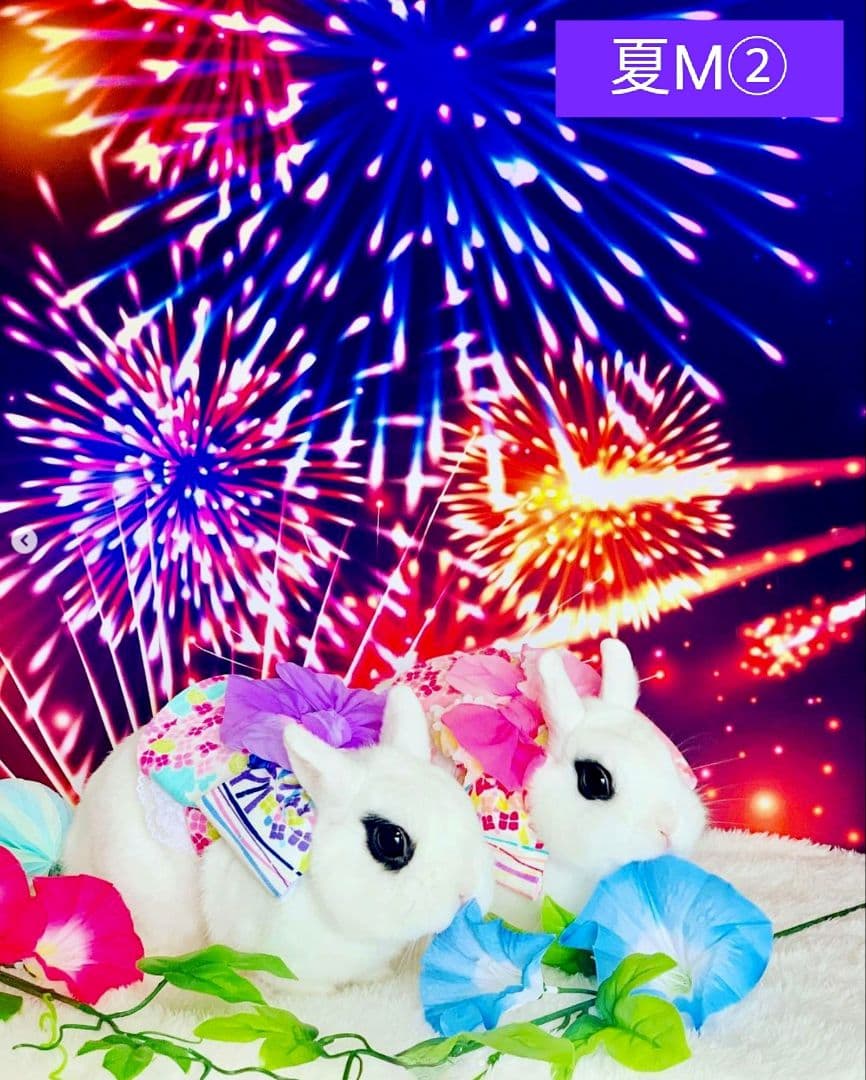 背景布×6枚+1 ペット、イベント撮影用フォトブース トリミング