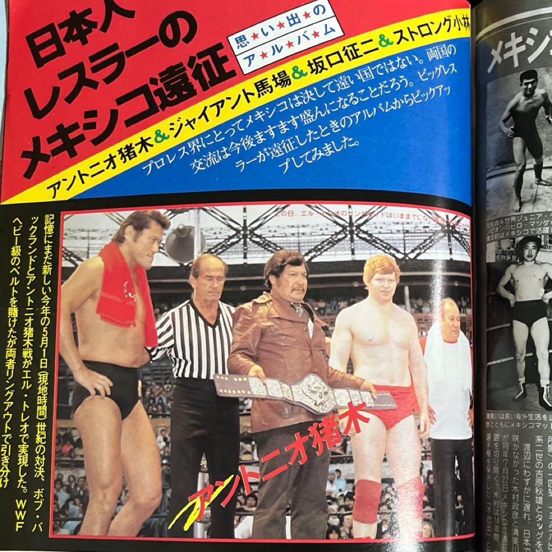 別冊プロレス】ビバ！ルチャ・リブレ⚫︎メキシコのプロレスオール