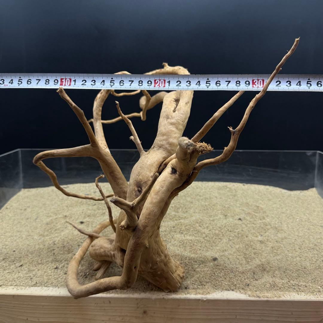 MDW-6989 特大ブランチウッド 流木 枝流木 アクアリウム