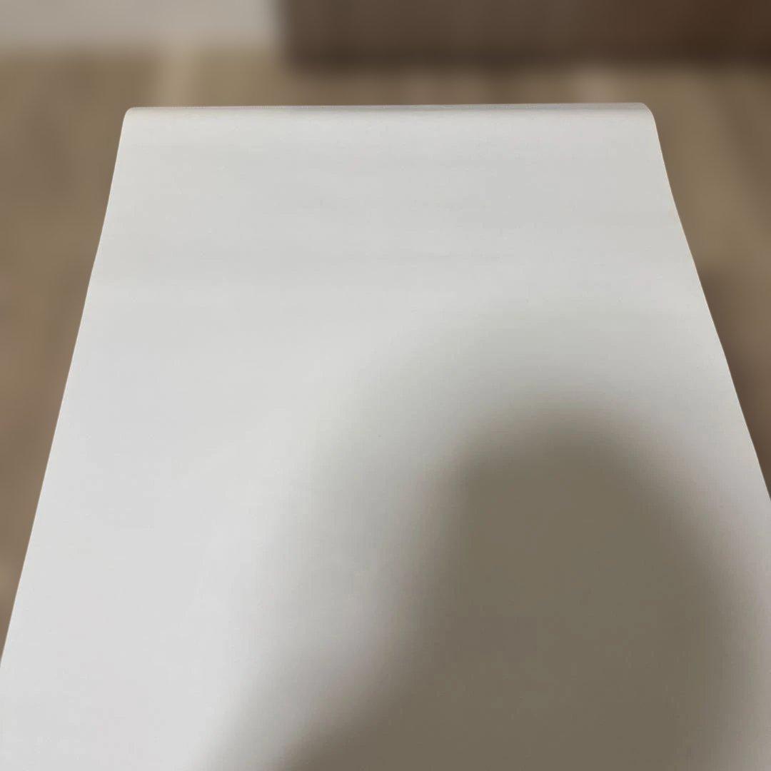 非売品❗️ゼルダの伝説 トワイライトプリンセス ポスター