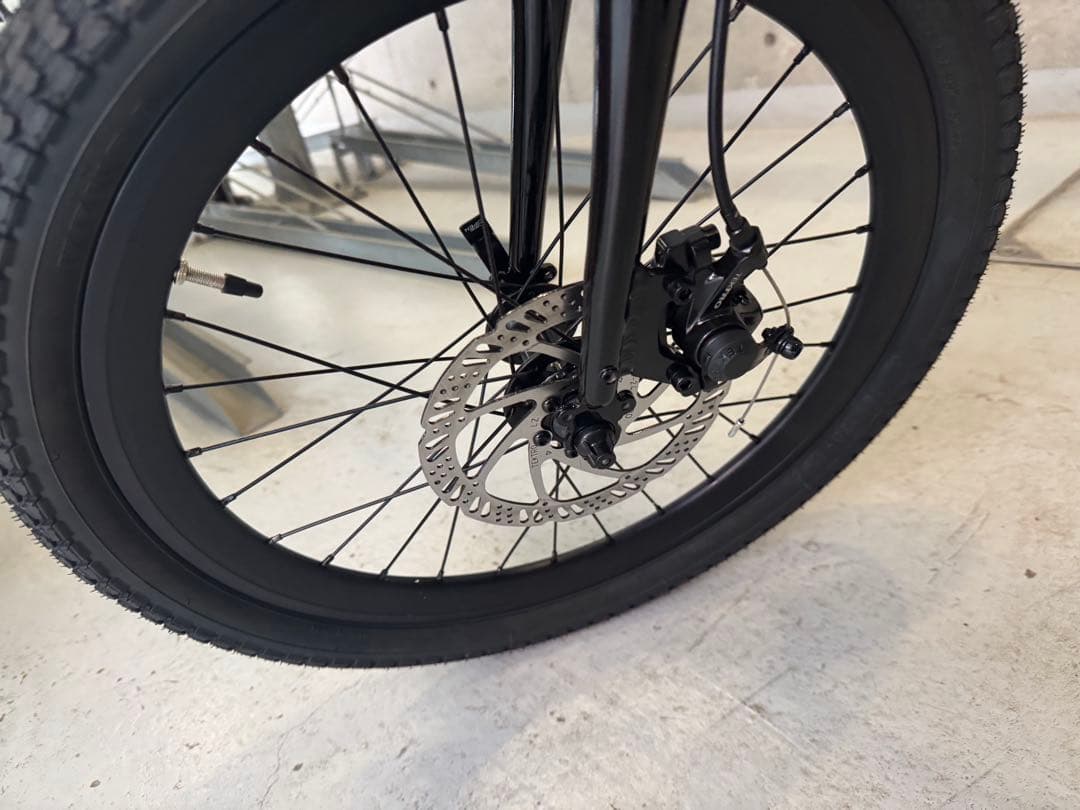 【今月新品で購入】TERN AMP F1 ミニベロ マットブラック