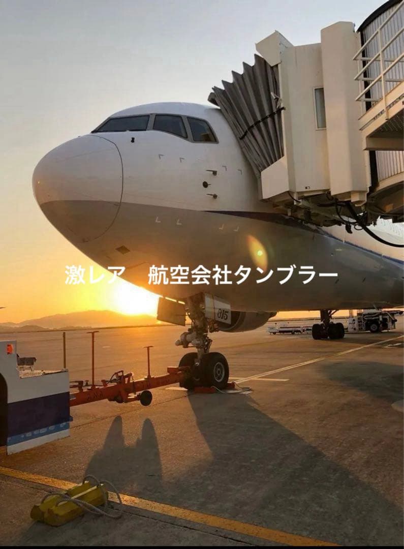 激レア　新品　航空会社　タンブラー　水筒　サーモス　ANA