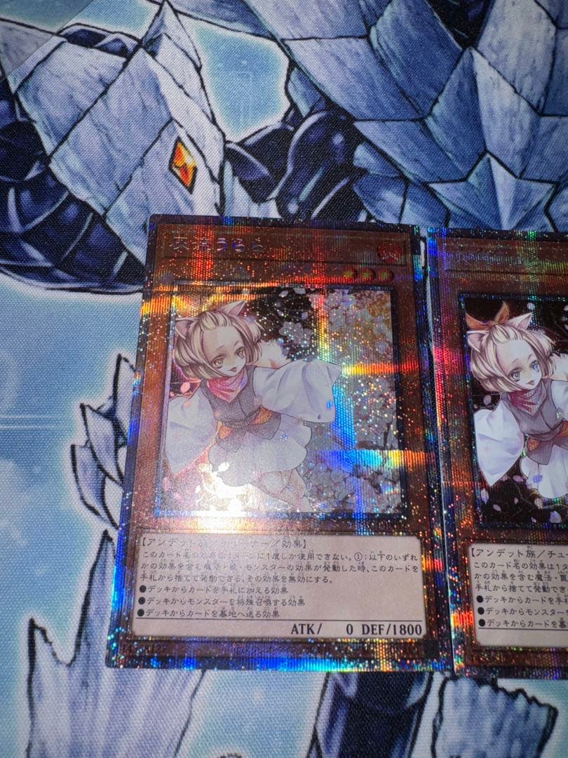 遊戯王　灰流うらら　プリズマ　3枚セット