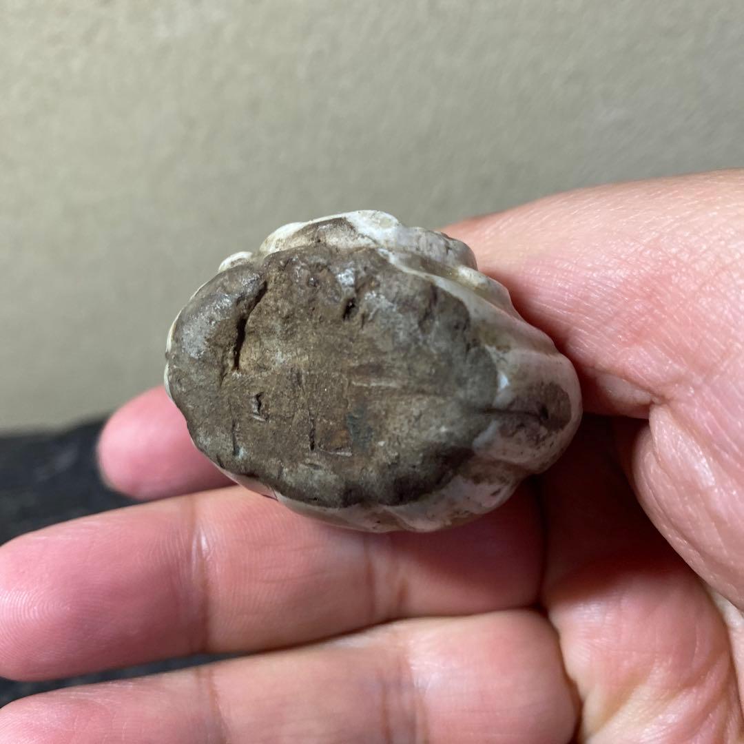 珍品 おふけ焼 大黒天水滴