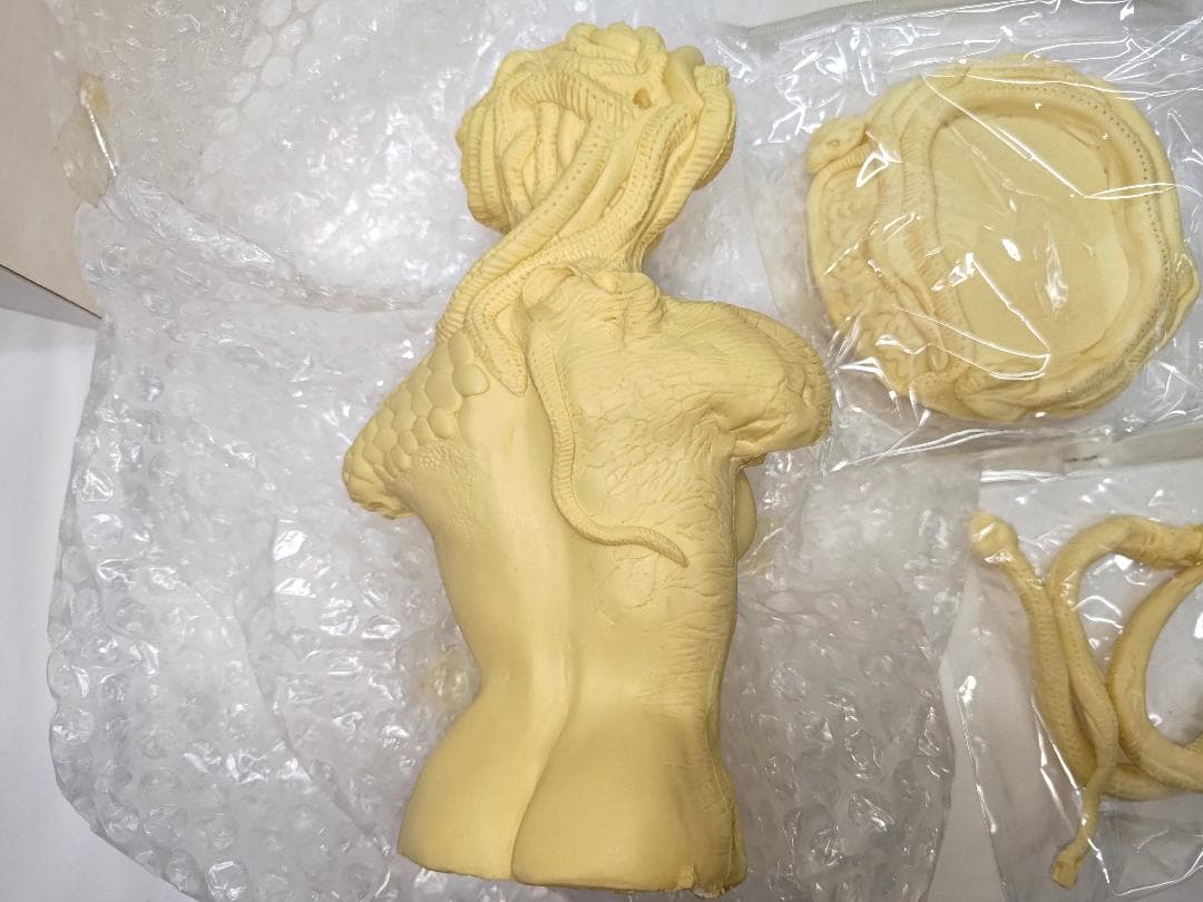 フューチャーモデルズ　MEDOUXSA メデューサ ガレキ　韮澤靖