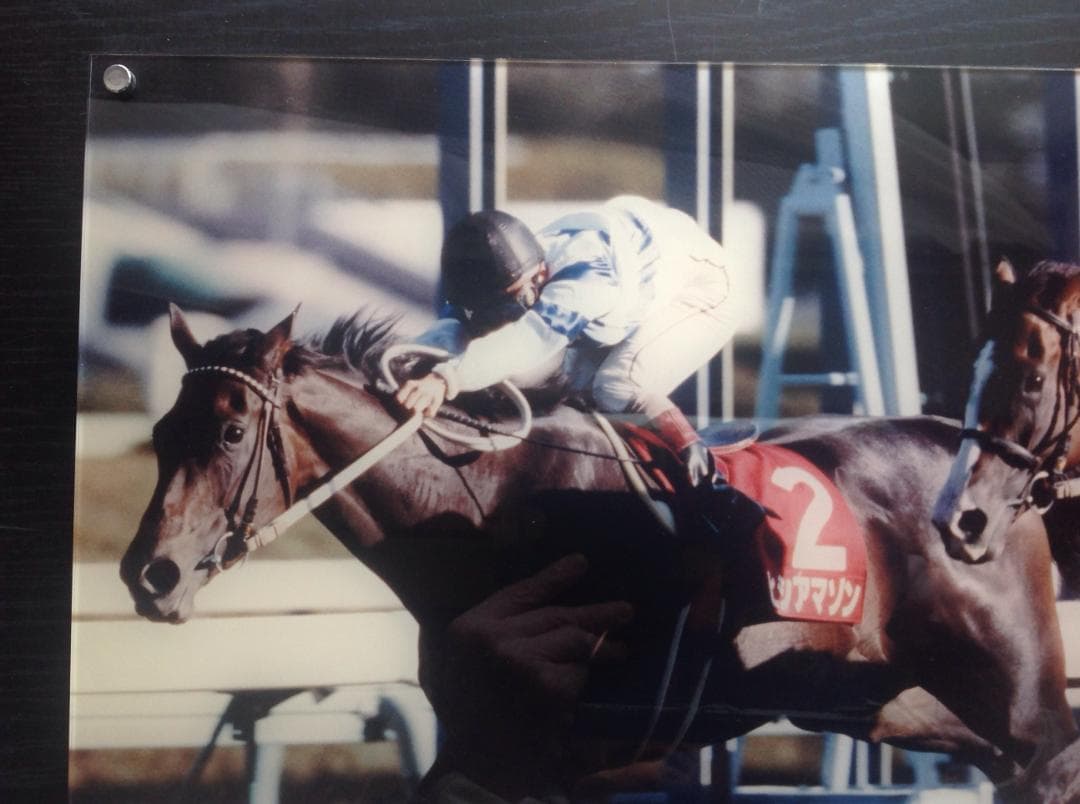 競馬パネル：ヒシアマゾン「1995年第41回産経賞オールカマー」