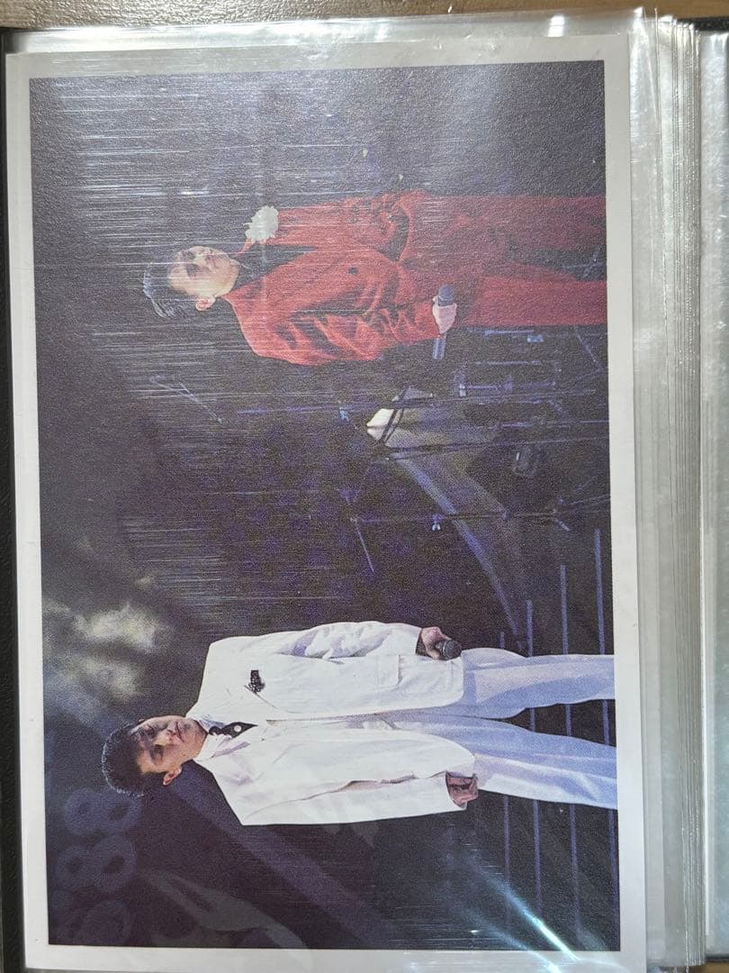 ダウンタウン　サイン色紙2枚　ファンクラブ限定カード21〜55