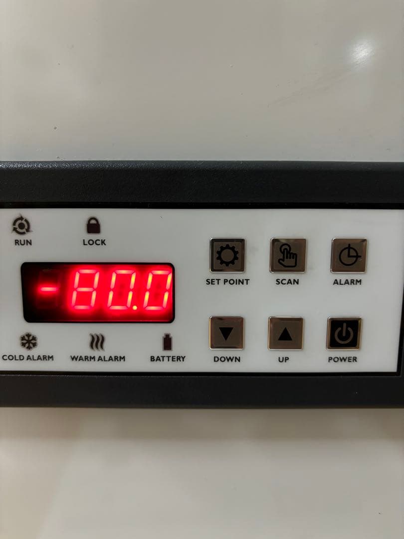 清潔コオロギ 1kg 2.0〜2.5cm多め 冷凍コオロギ - メルカリ