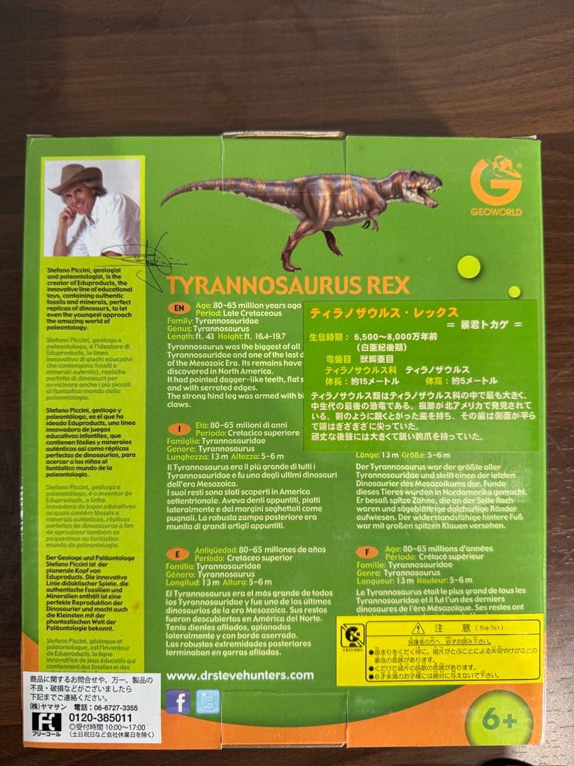 ヤマサン T-Rex Skeleton 化石発掘キット　ティラノサウルス