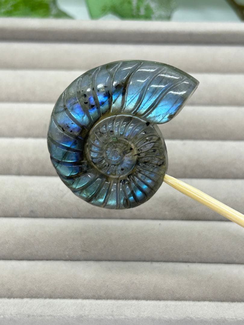 天然石ラブラドライト　アンモナイトのかたちパーツ　No.1258