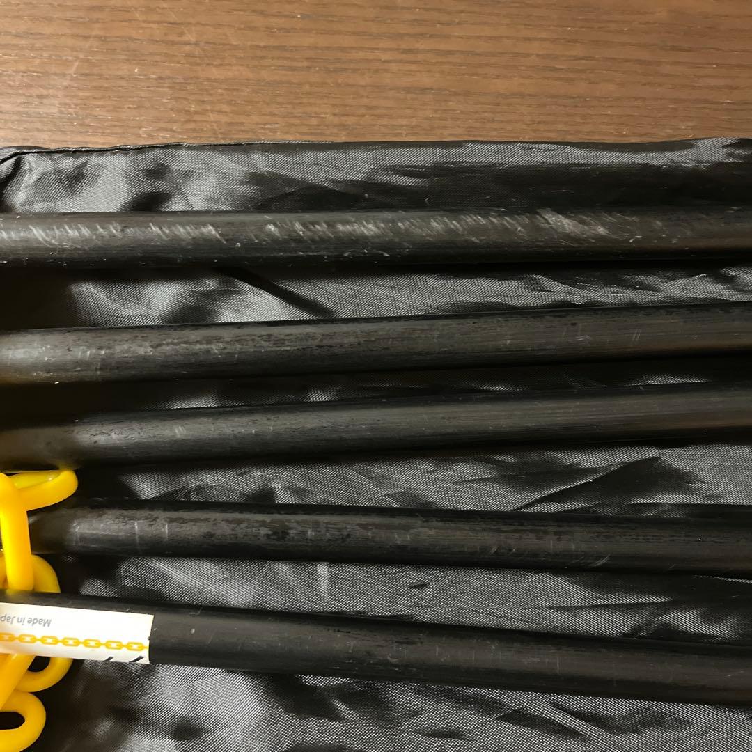 タニラダー DVD2枚（アドバンスド インストラクション) ラダー付き