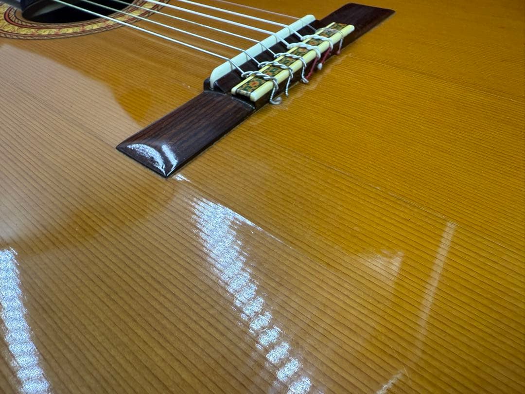 初心者 アコースティックギター ハードケース付き