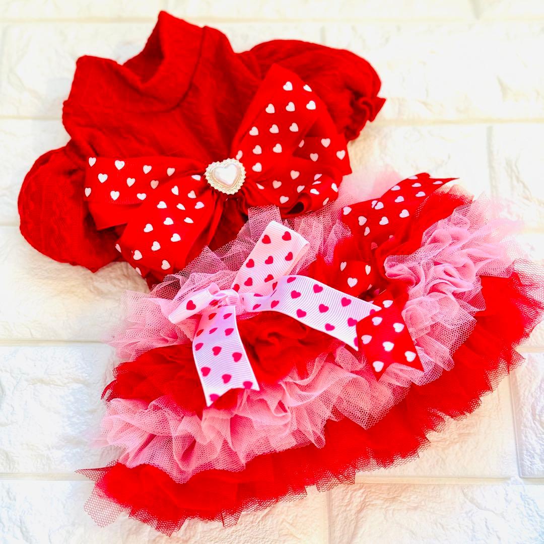 犬 ライフジャケット イージードッグ」の人気商品一覧 | 安い商品を