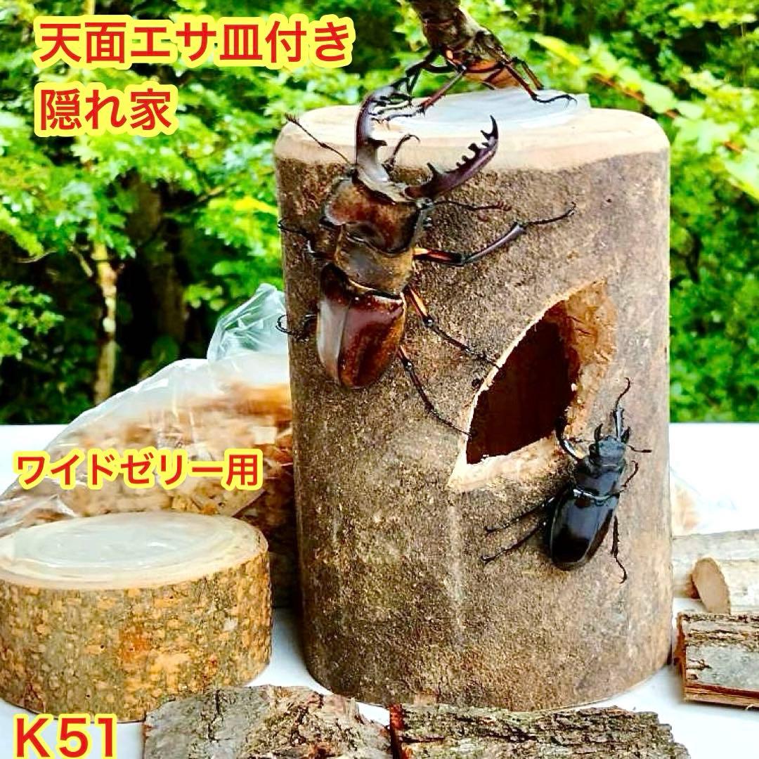 クワリウム クワガタ 隠れ家 人工樹洞 のぼり木 止まり木 カブトムシ