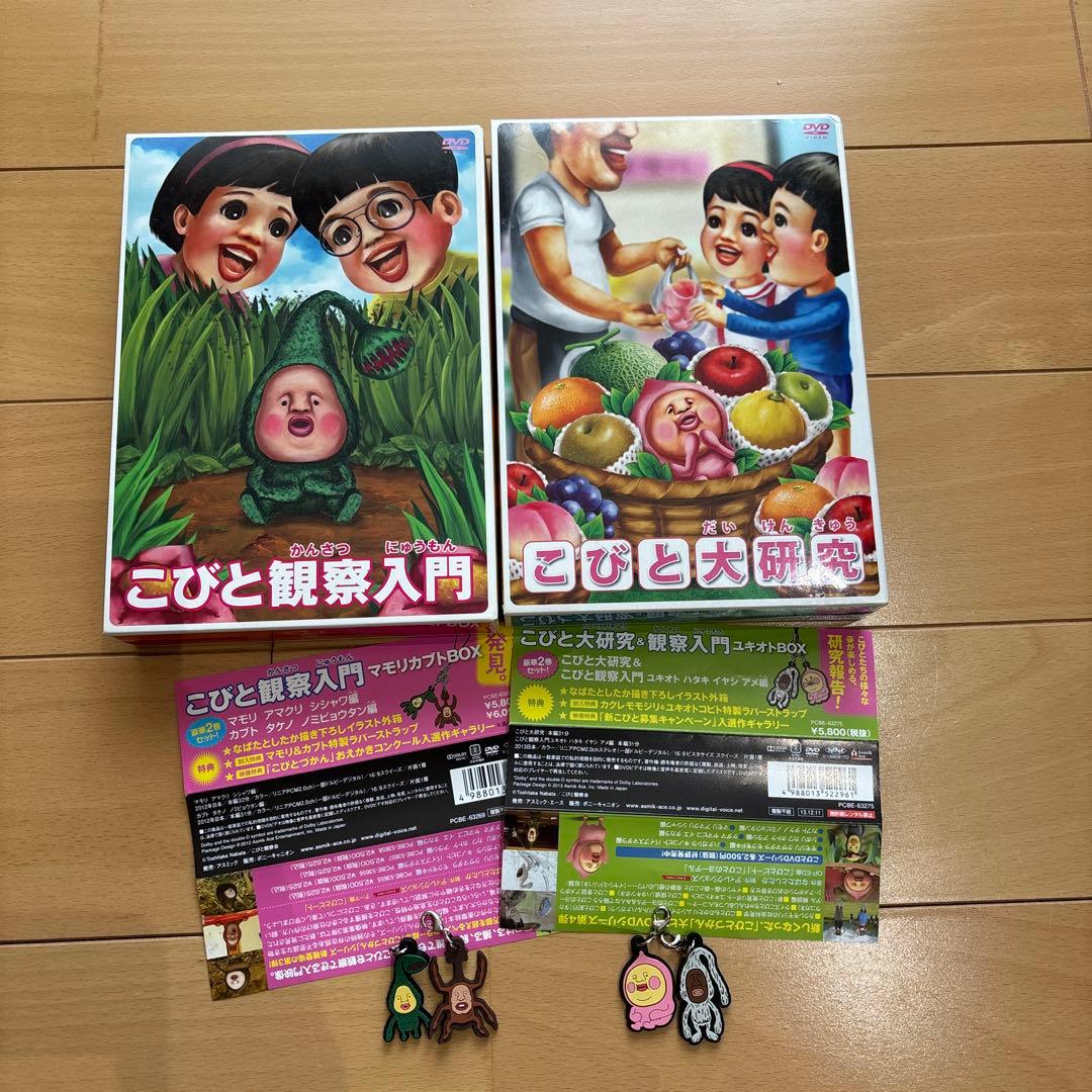 こびと観察入門 8巻 + こびと大研究 DVD9枚セット こびと図鑑 こびと