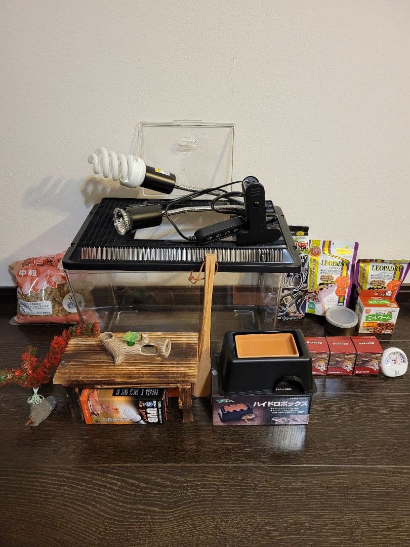 爬虫類シェルター 409 パステルホワイト （爬虫類シェルター 409