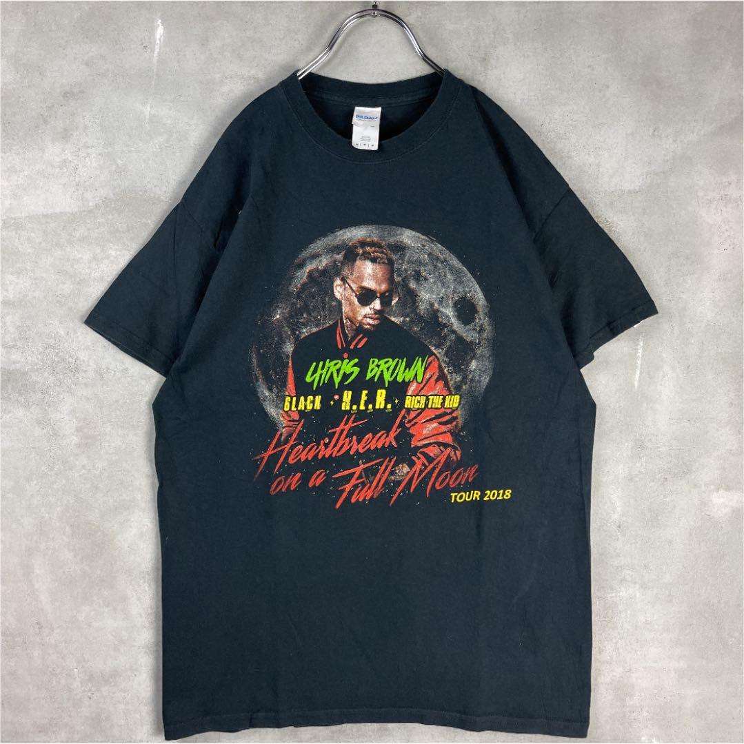 GILDAN 00年代 クリスブラウン ツアーTシャツ ラップT ミュージックT