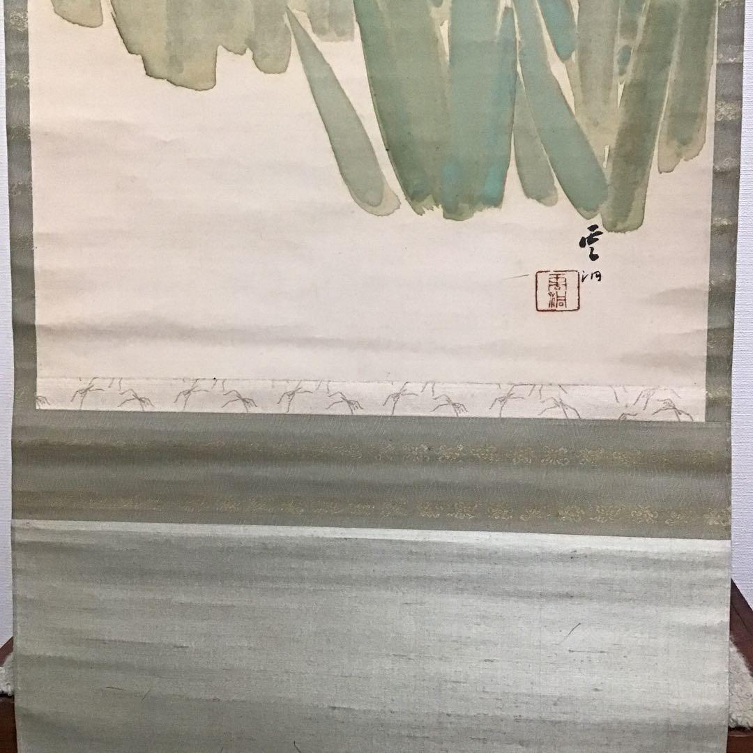 K茶道具 掛軸 杜若(かきつばた) 小寺雲洞作(明治ー昭和)共箱 S1014KJ
