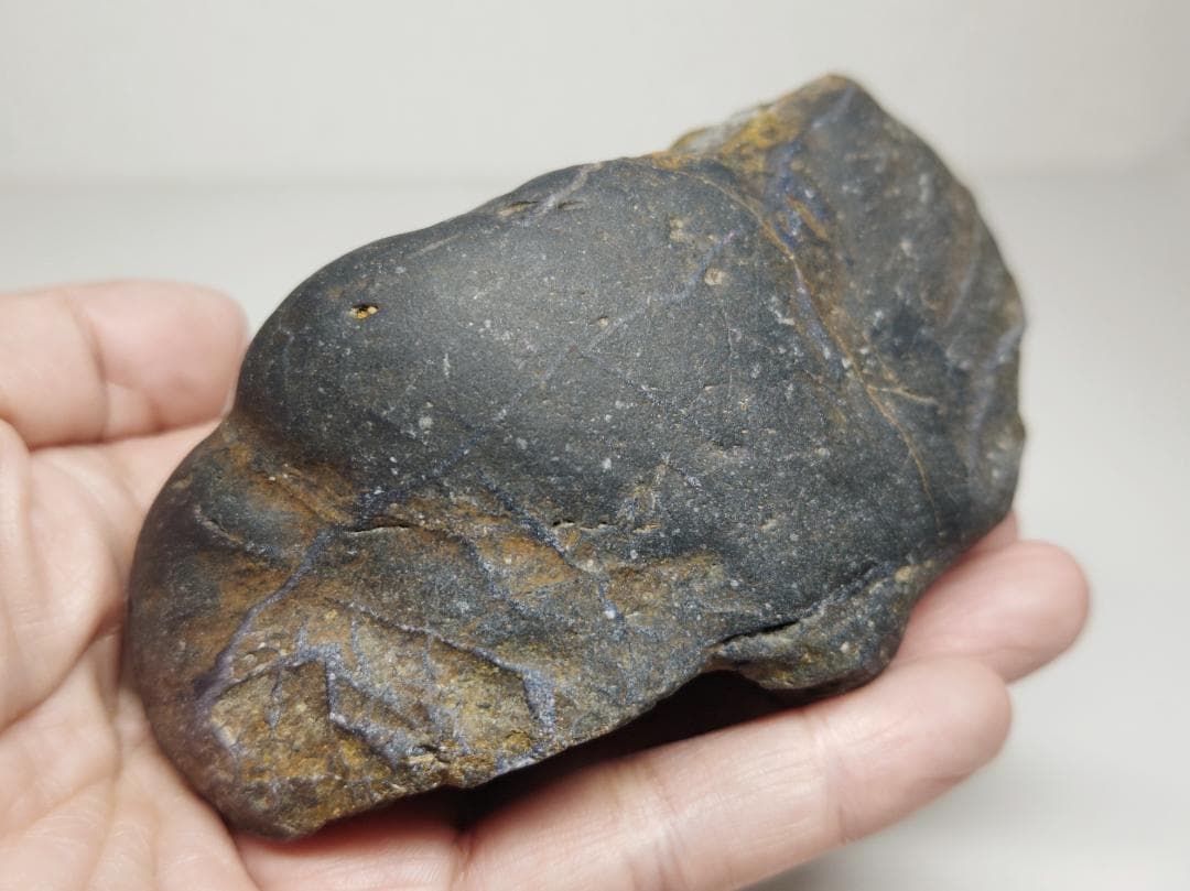 最終値下げ】2012ウィーン・フィルハーモニー銀貨 1オンス 新品未使用