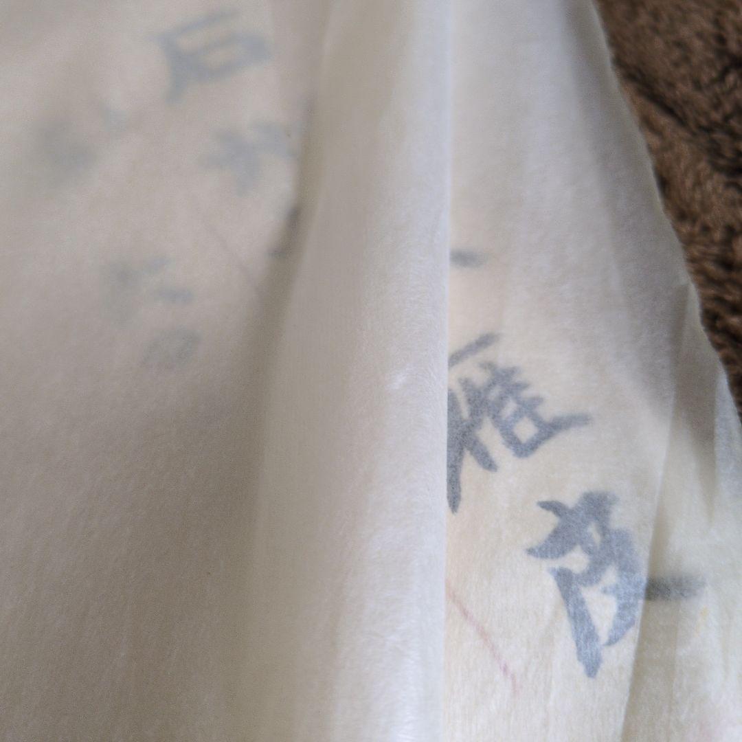 石州雁皮古漉き2２枚