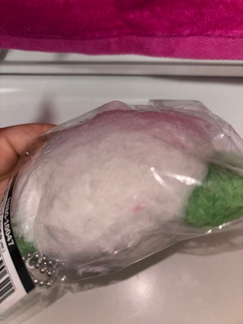 百田隼麻 リルパンダ LILLEAGUE