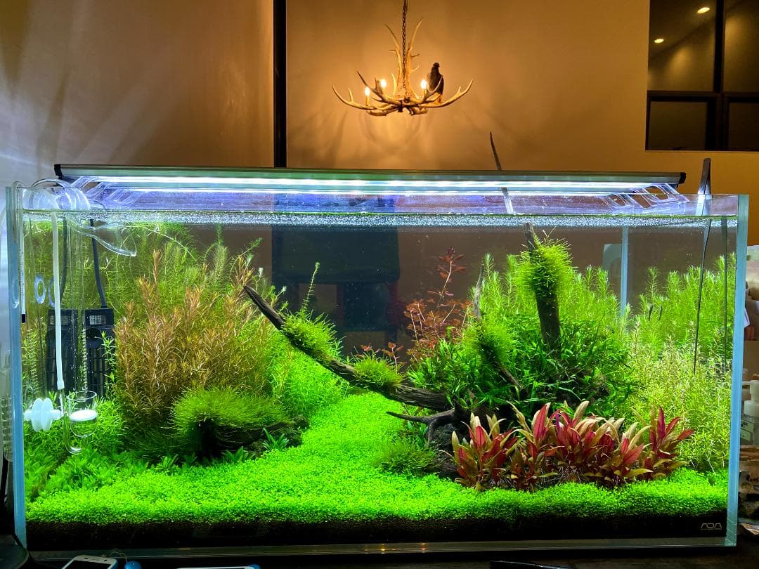 90cm水槽フルセット。