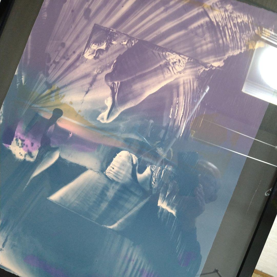 紫綬褒章受賞 【加納光於】 額装66×79cm 限定版 - メルカリ