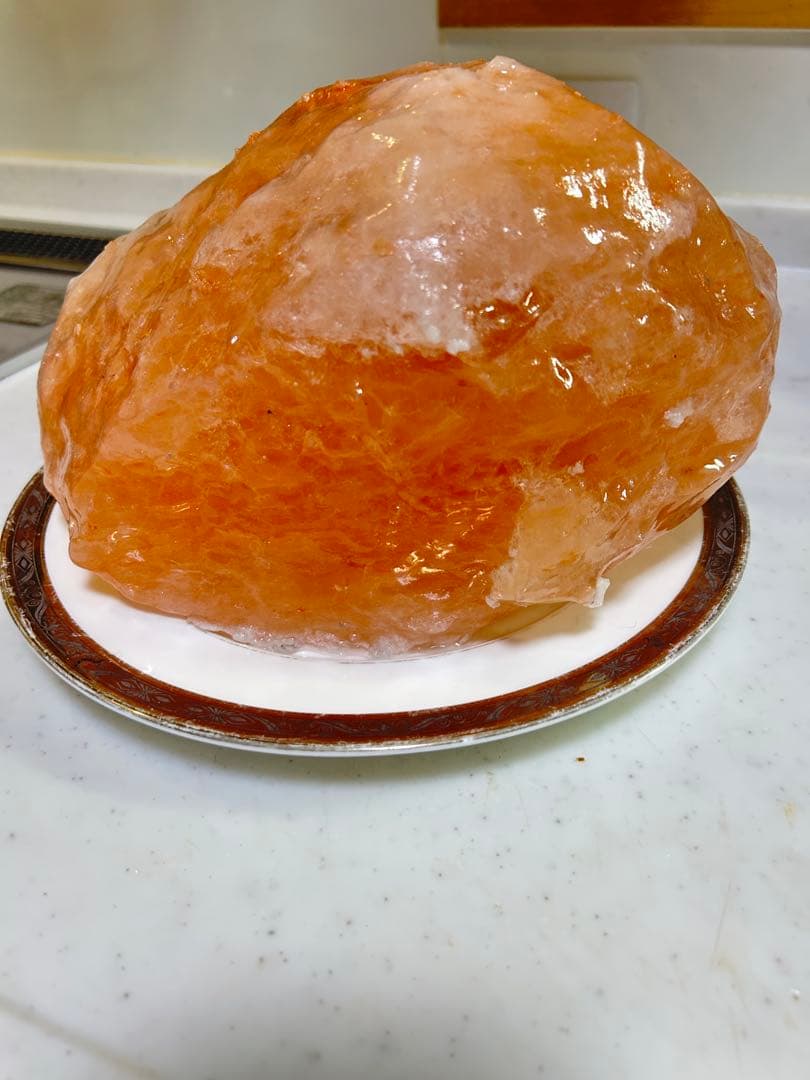 misaki takeuchi アニエスベー フェーブ agnes b.