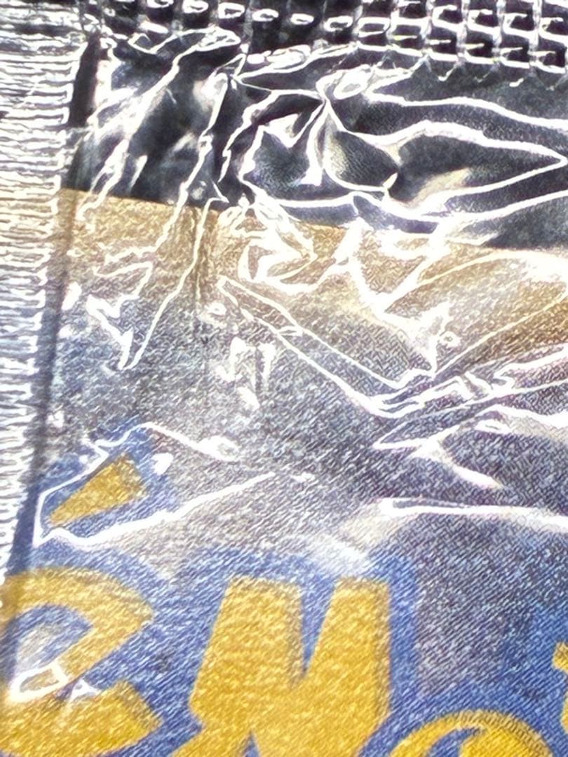 ポケパーク　名探偵ピカチュウ リザードン　レックウザ　信長の野望　明治　未開封