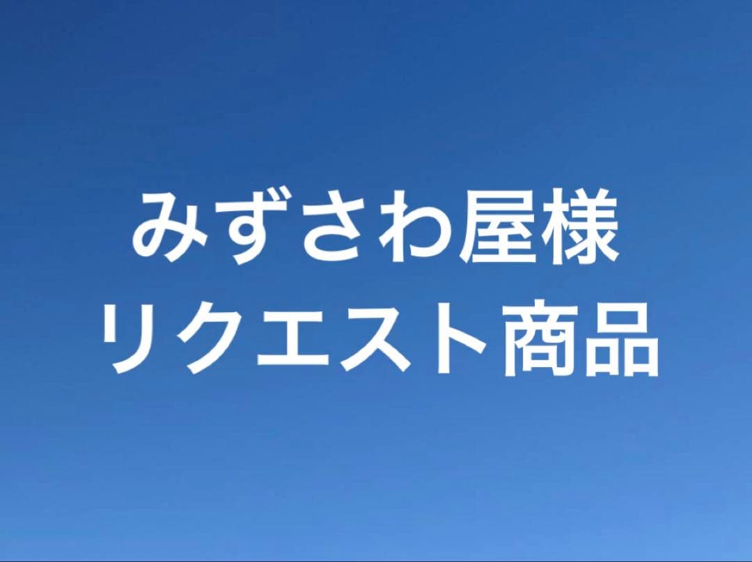 みずさわ屋様　リクエスト商品