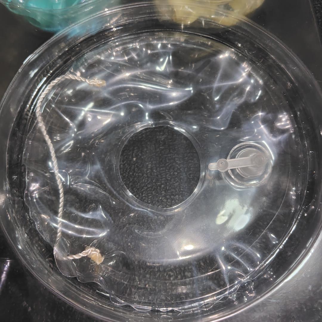 一騎当千 XTREME XECUTOR 趙雲子龍　夏バージョン1/6 フィギュア