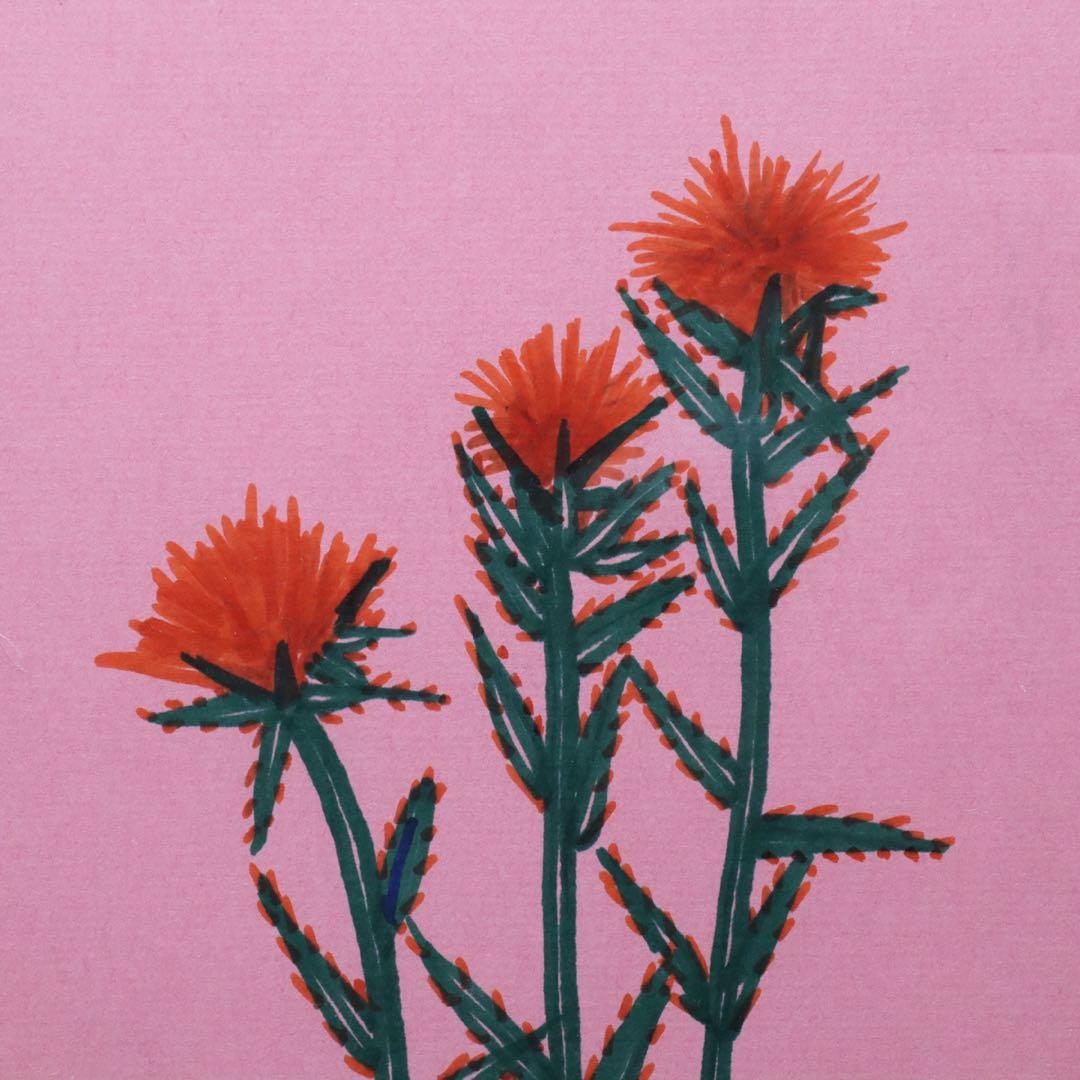 山下 清【紅花】肉筆ペン画 色紙 裸の大将