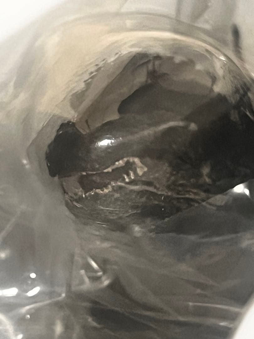 S.H.モンスターアーツ ゴジラ (2023) 通常版