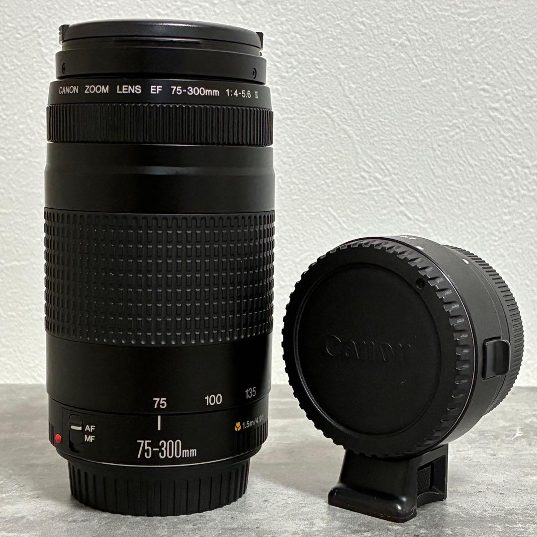 ⭐️美品⭐️Canon EFS 75-300 II & EF-EOS R アダプター Amazon | 【