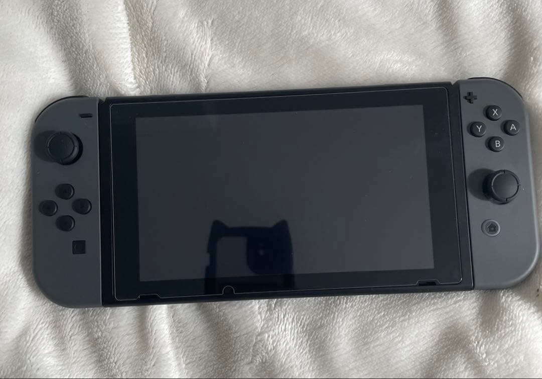 Nintendo Switch 本体 セット グレー スプラトゥーン ケース