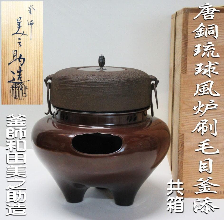 夜光貝 まとめ5個セット サイズ11-12cm