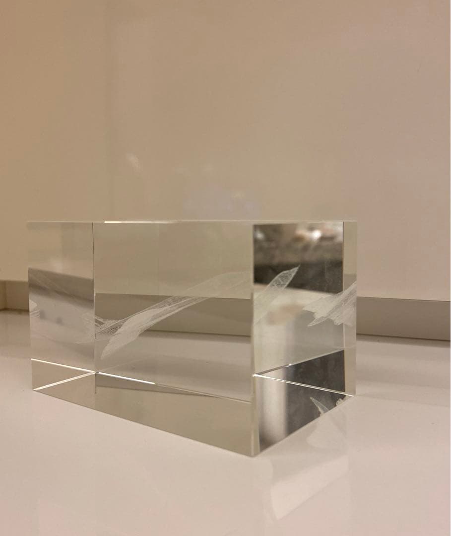 ⭐︎限定品⭐︎エールフランス航空コンコルド3Dクリスタル