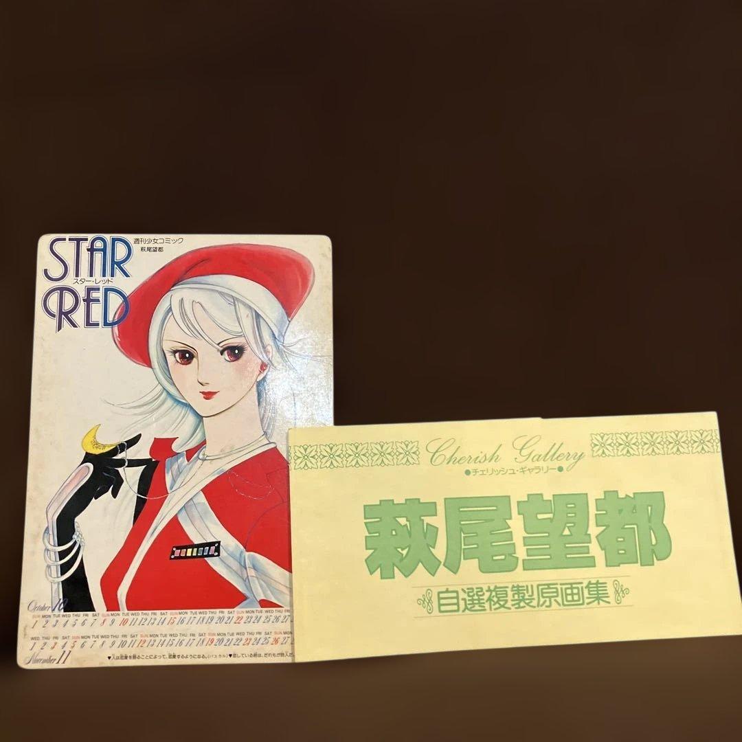 萩尾望都 自選複製原画集 - メルカリ