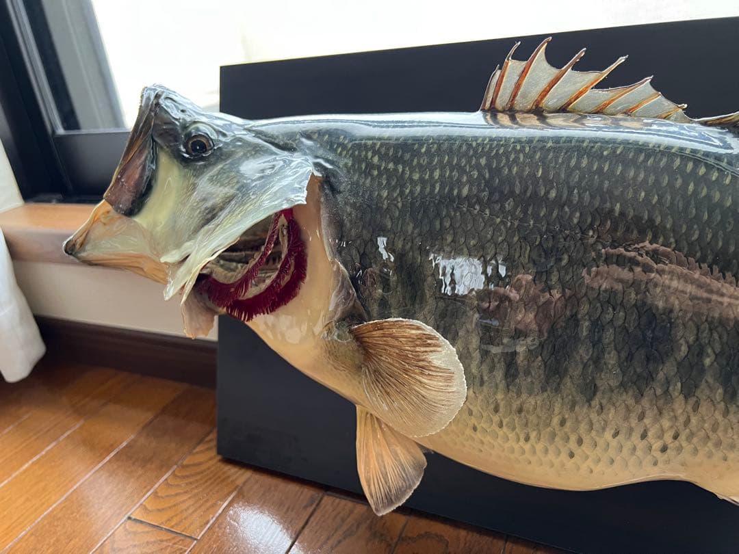 ブラックバス剥製インテリア壁掛けタイプ