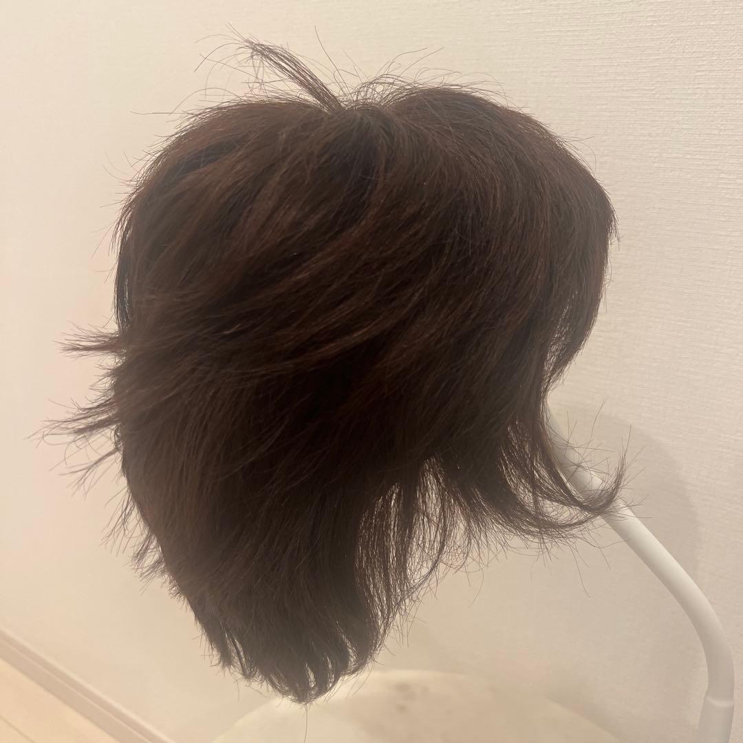 新品未使用　人毛100% ショートウィッグ