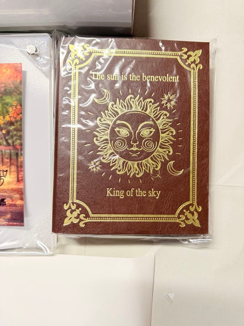 小坂菜緒 サイン入り ポストカードホルダー ひな図書