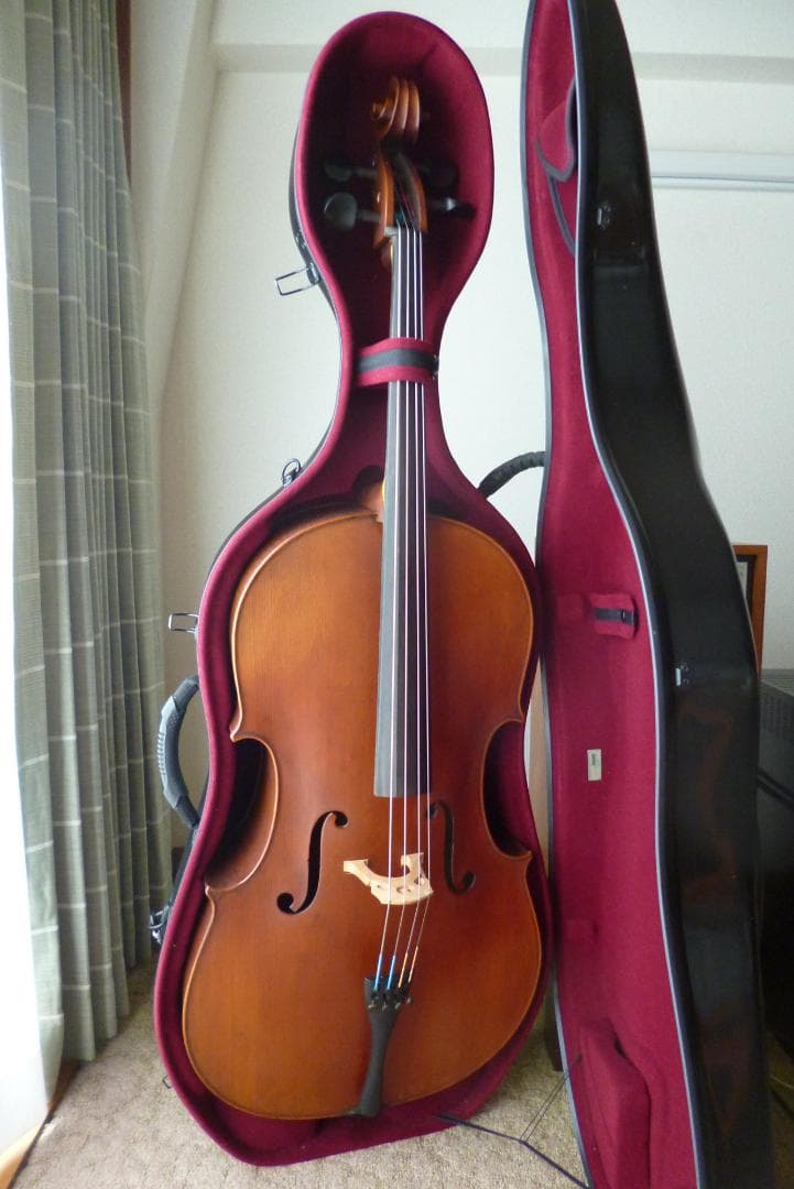 【直接引取限定】チェロ（ゴフリラーモデル Liuxi工房製 Anno 2018）