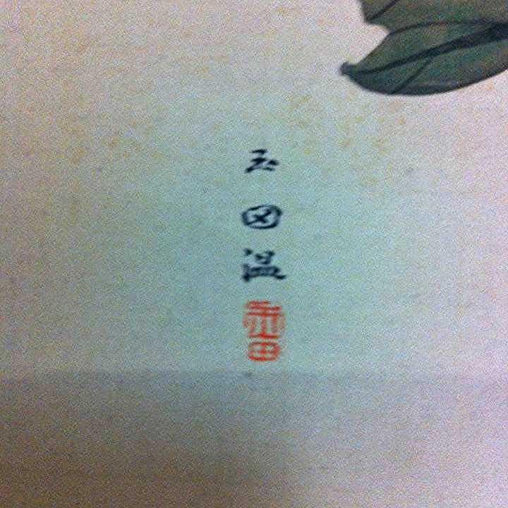 掛軸 掛け軸 草花