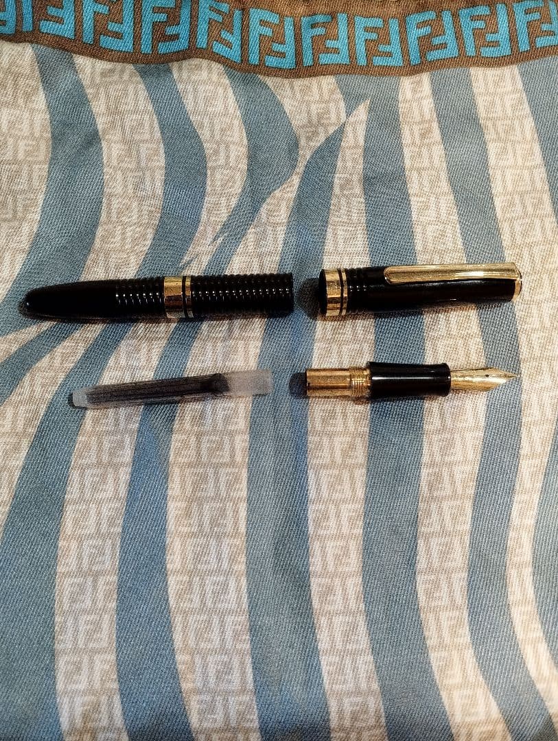 PLATINUM プラチナ万年筆 ♯3776 ギャザード 14K　中