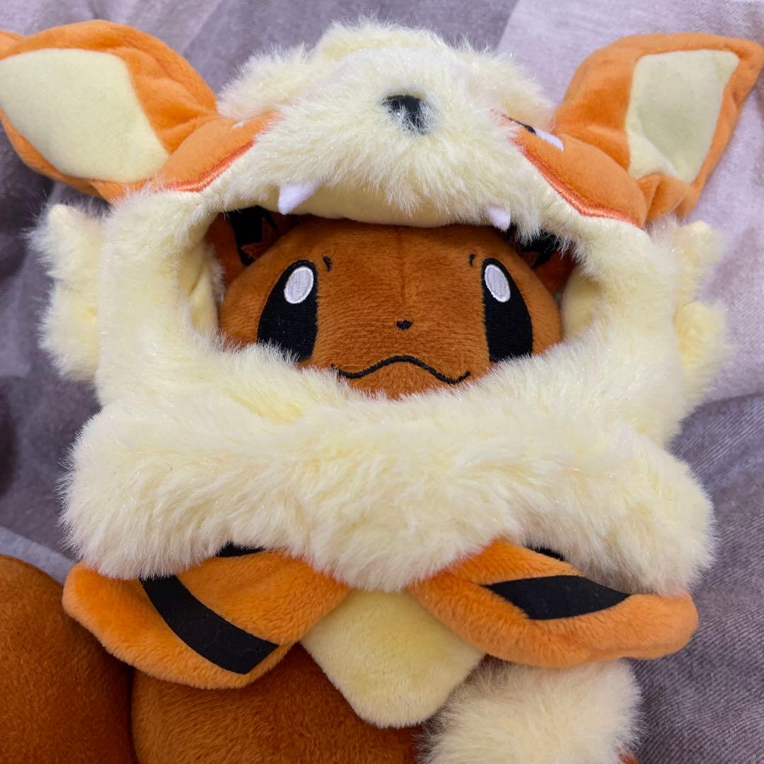 ウィンディポンチョのイーブイ　ノーマル　ぬいぐるみ　ポケモンセンター　沖縄　限定