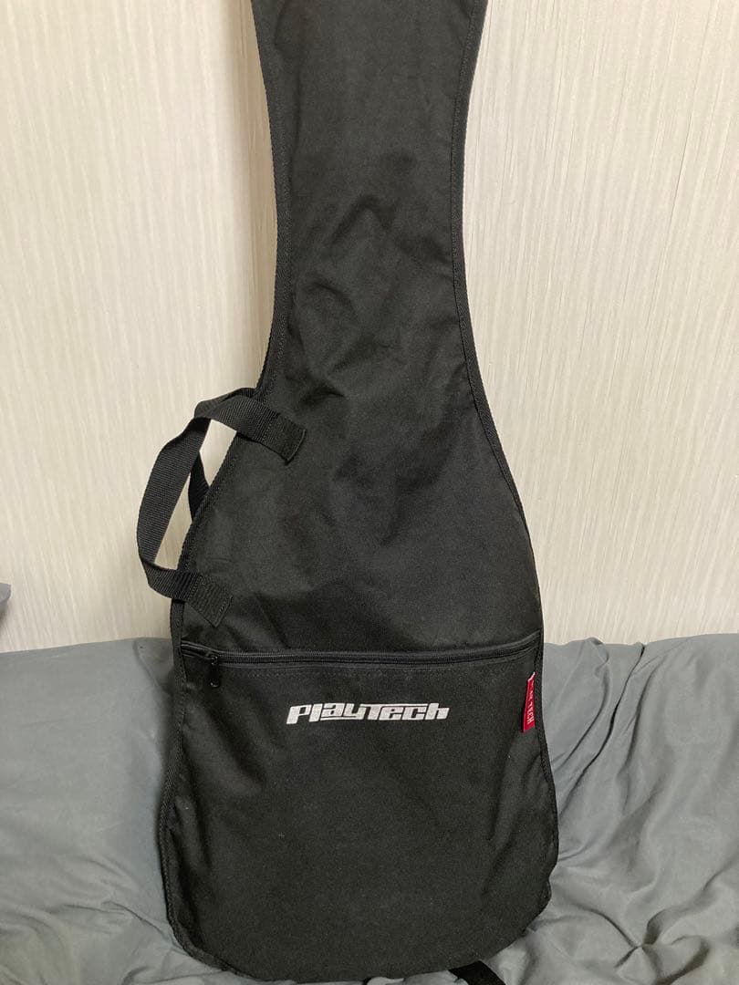 PLAYTECH ( プレイテック ) TL250 テレキャスター