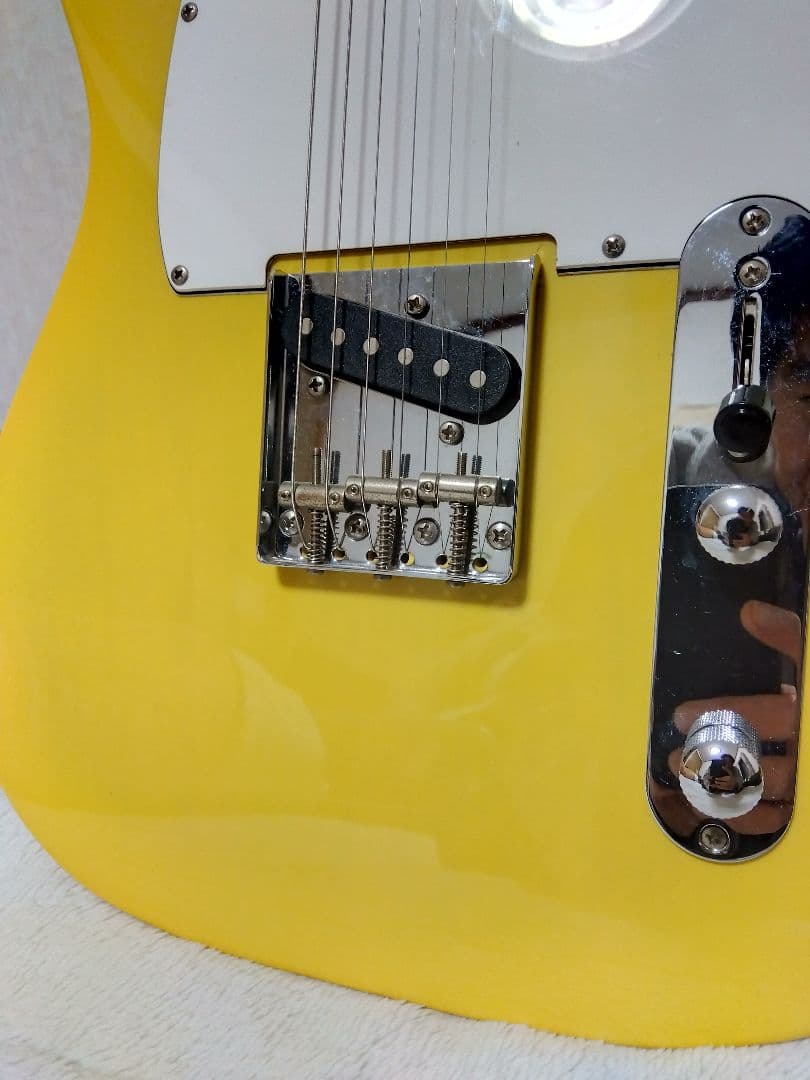 バッカス テレキャスター Universe series