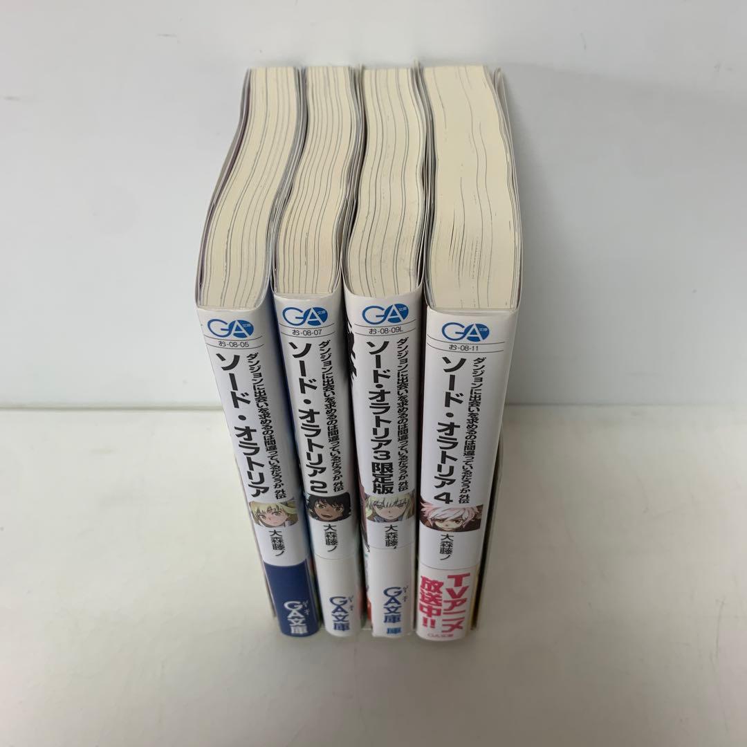 ダンジョンに出会いを求めるのは間違っているだろうか外伝4冊セット3-F