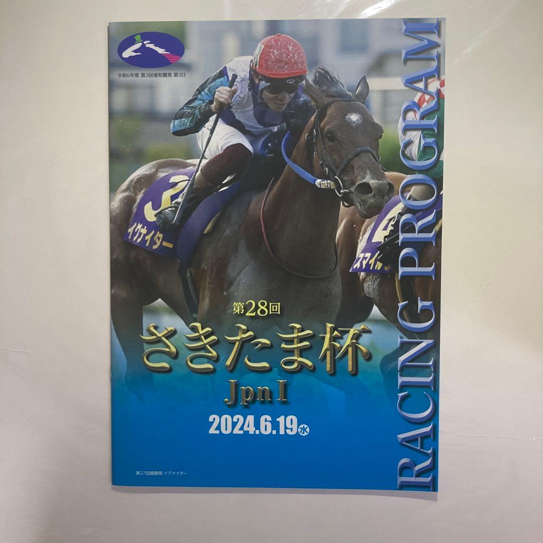 第28回さきたま杯JpnⅠ 的中単勝馬券