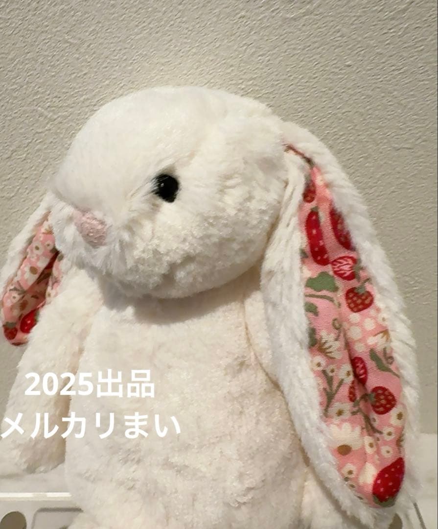  Blossom Cream Bunny 'Berry' （S）